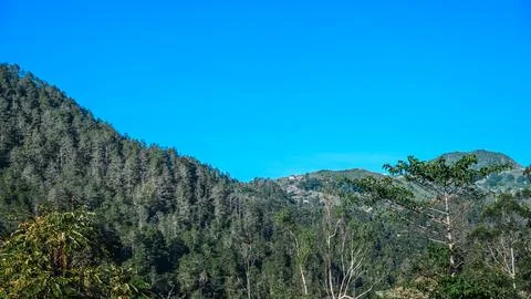A mountain range with a clear blue sky and trees, Indonesia Stock Photos