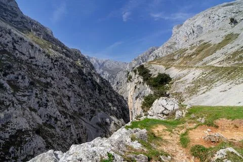 A mountain range with a clear blue sky and a tree in the middle Stock Photos
