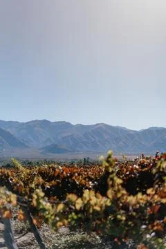 A mountain range with a clear blue sky and a few clouds Foto stock