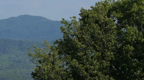 Mountain range - close up pan 動画素材 38356743