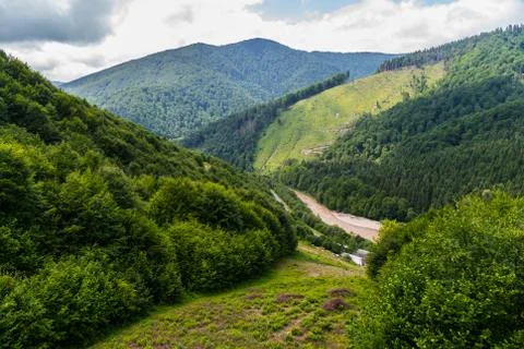 The mountain range is covered with dense thickets of trees and shrubs between Stock Photos