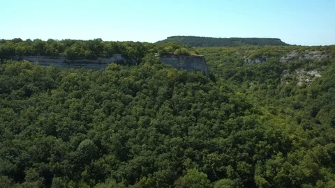 A mountain range covered with forest. 動画素材 80402321