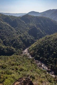 Mountain range covered with green forests and misty blue sky at morning from  写真素材