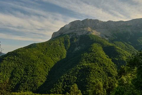 A mountain range covered with greenery 스톡 사진