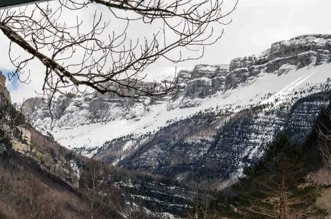 A mountain range covered in snow with a tree in the foreground Stock Photos