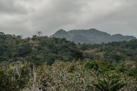 A mountain range covered in trees and a cloudy sky Stock Photos
