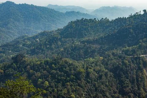 Mountain range with dense green forests at morning from flat angle Фото