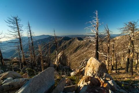 A mountain range with a few trees and rocks Stock Photos