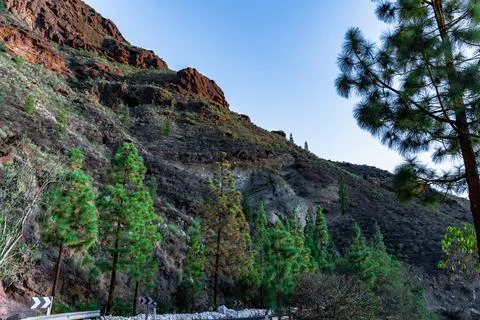 A mountain range with a few trees and a rocky hillside Stock Photos