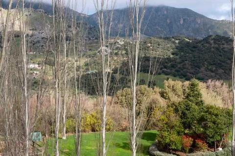 A mountain range with a few trees in the foreground Stock Photos