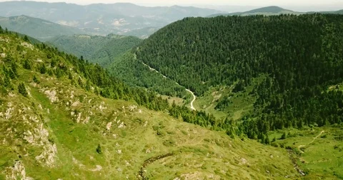 Mountain range with forest and lake in the Pyrenees Stock Footage 94497621