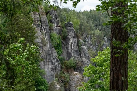 A mountain range with a forest in the background Stock Photos