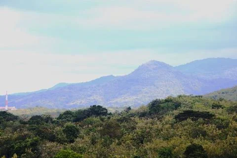 A mountain range with a forest in the foreground Stock Photos