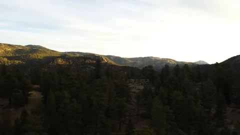 Mountain Range Forest Golden Light Sunrise Drone Footage 4K Stock Footage 119835115