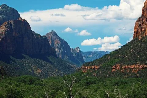 Mountain range with forests Stock Photos