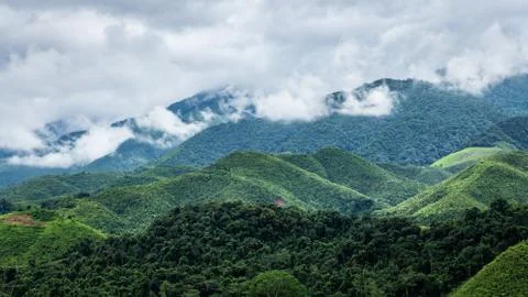 Mountain range inside rainforest park covered by cloud Stock Photos