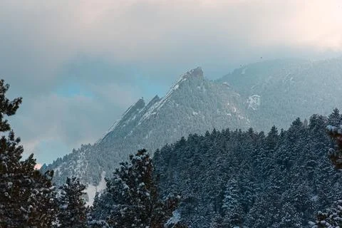 Mountain range landscape dotted with snowy trees after a snowfall Stock Photos
