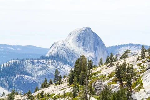 Mountain Range Landscape with Pine Trees and Scenic Sky Stock Photos