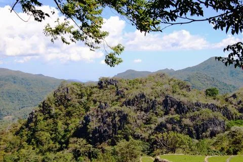 A mountain range with a lush green forest in the foreground Stock Photos