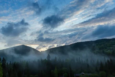 Mountain range overgrown with forests and cloudy sky before sunrise Stock Photos