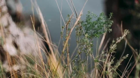 Mountain range by the river. Stock Footage 140902558