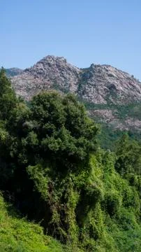 Mountain range in Sardinia 스톡 사진
