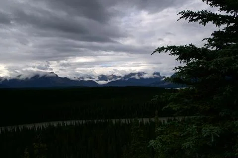 Mountain Range Shrouded in Storm Clouds framed by Pine Branches Stock Photos