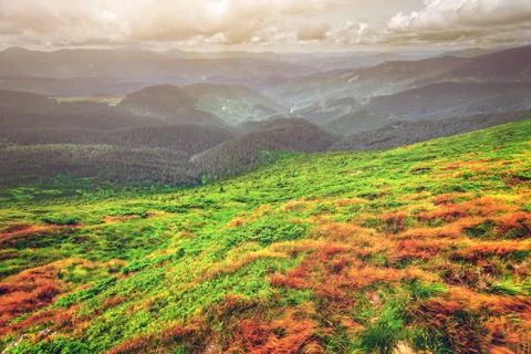 Mountain range  in summer Foto stock