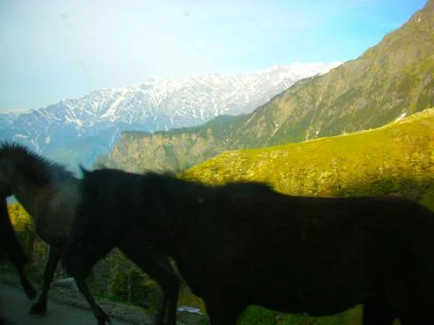 The mountain range in summer Stock Photos