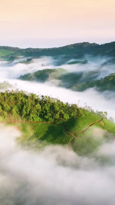 Mountain range surrounded by low clouds at sunset (Vertical) Stock Footage 288797166