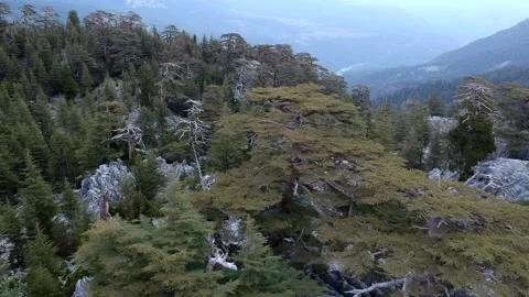 Mountain range in the Taurus mountains 스톡 동영상 220083893