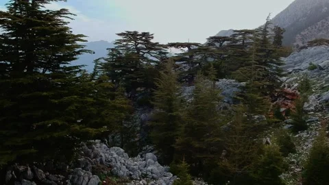 Mountain range in the Taurus mountains Stock Footage 220085531