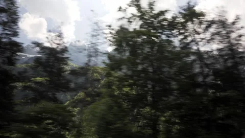 Mountain range through tree line Video stock 249405524