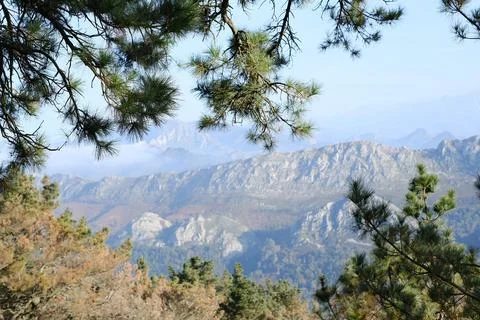A mountain range with a tree branch in the foreground Stock Photos