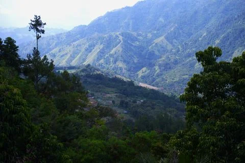 A mountain range with a tree in the foreground Stock Photos