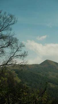 A mountain range with a tree in the foreground Stock Photos