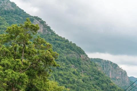 A mountain range with a tree in the foreground Fotos Stock