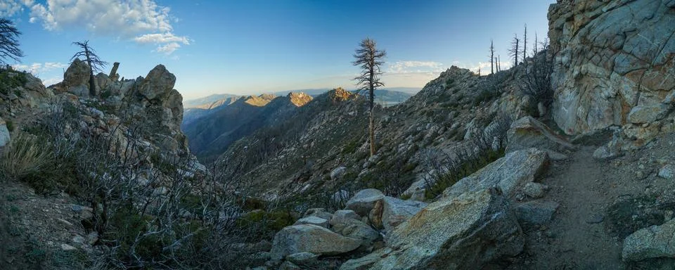 A mountain range with a tree in the middle Stock Photos