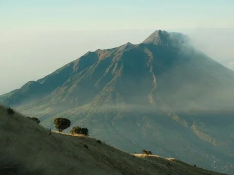 A mountain range with a tree on the side of it Stockfoto's