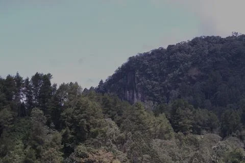 A mountain range with trees and a clear blue sky Stock Photos