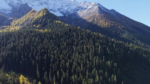 A mountain range with trees and snow Stock Footage 320333438