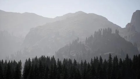A mountain range with trees in the foreground and fog in the background Stock Illustration