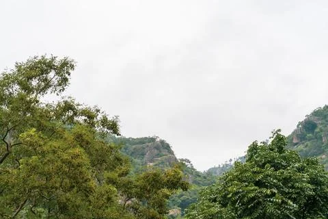A mountain range with trees in the foreground and a cloudy sky in the backg.. 写真素材