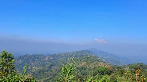 Mountain range with trees under blue sky 库存影片 331658339