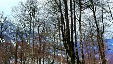 A mountain range is visible in the background with trees in the foreground Vidéo 277258048