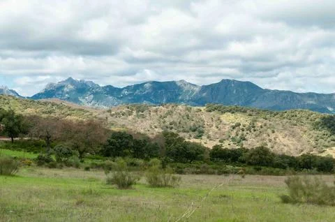 A mountain range is visible in the distance, with a cloudy sky overhead Stock Photos