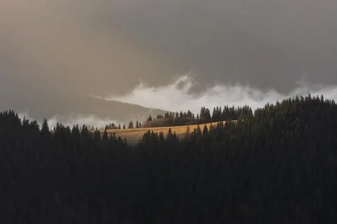 Mountain range with visible silhouettes through the morning colorful fog.Tarc Stock Photos
