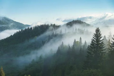 Mountain range with visible silhouettes through the morning colorful fog. Stock Photos