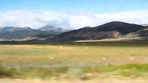 Mountain Ranges and Grasslands Stock-Footage 333159352