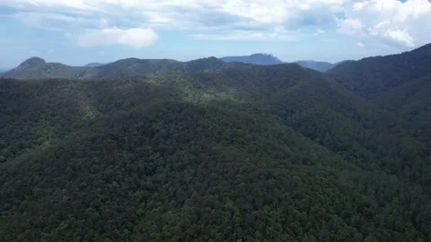 Mountain Ranges Covered With Tropical Forests At Austinville Conservation Area Stock-Footage 330976297